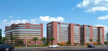 來了 東莞市第九人民醫院正式開辦,規劃床位500張 地點在