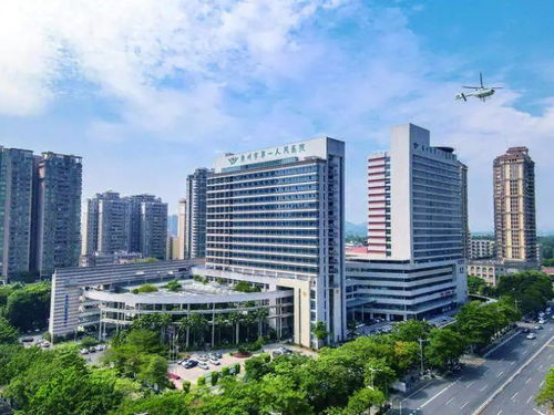 院長談 新質生產力 專訪惠州市第一人民醫院院長袁霞 做強 八大中心 做優智慧醫療