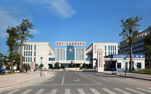 謝崗醫院引進纖維支氣管鏡 助呼吸系統疾病患者早日確診