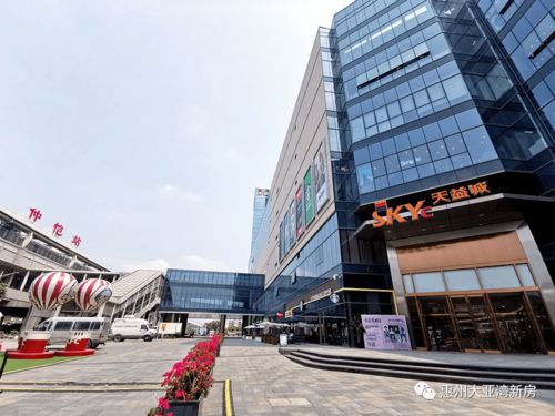 2021 惠州 為何這么火爆,專業人士是這樣說的.為何被眾說紛紜