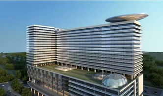 智慧宜居城 武漢開發區登上國際競爭舞臺