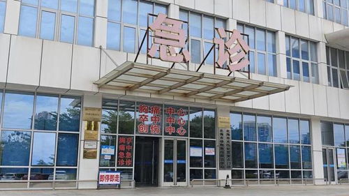 北海一女子在除草時被咬,大哥瞬間徒手反殺 醫(yī)生提醒