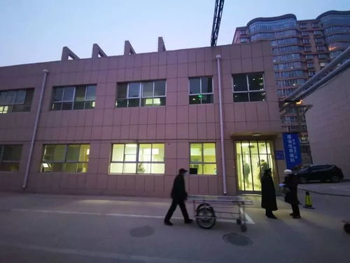 兩地醫者的春節堅守 肥城與蛇口的共同使命