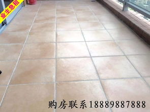 地鐵旁陽光海濱花園一居室 深圳蛇口優(yōu)質(zhì)租房推薦