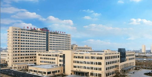 奉發(fā)左岸晶邸售樓處動態(tài)與官網(wǎng)信息解析，兼論蛇口人民醫(yī)院影響