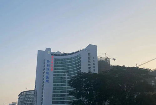 中泰印邸——蛇口核心區(qū)現(xiàn)房，毗鄰人民醫(yī)院，尊享便捷生活