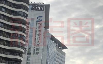 蛇口晗山悅海城 小體量綜合體，地鐵12號線加持，僅90套住宅待售