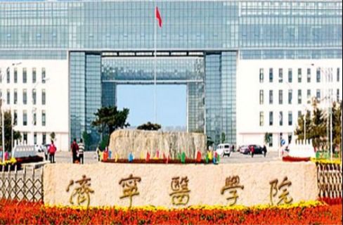 學(xué)術(shù)誠信再響警鐘 濟(jì)寧市第一人民醫(yī)院與蛇口人民醫(yī)院論文因蛋白條帶重復(fù)遭質(zhì)疑