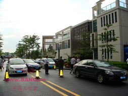 觀瀾首現(xiàn)通宵排隊(duì)日光盤(pán)，招商·瀾園開(kāi)盤(pán)照亮蛇口人民醫(yī)院新篇章